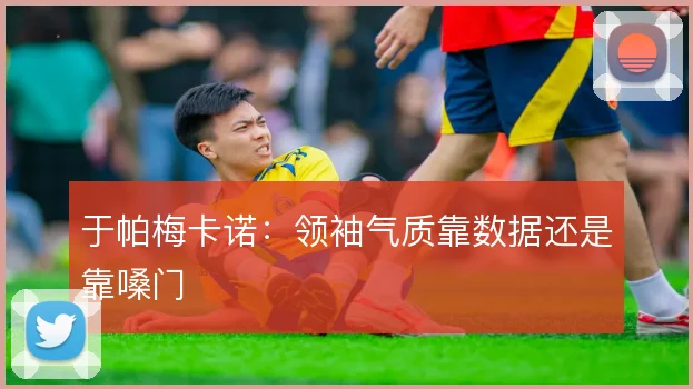 于帕梅卡诺：领袖气质靠数据还是靠嗓门