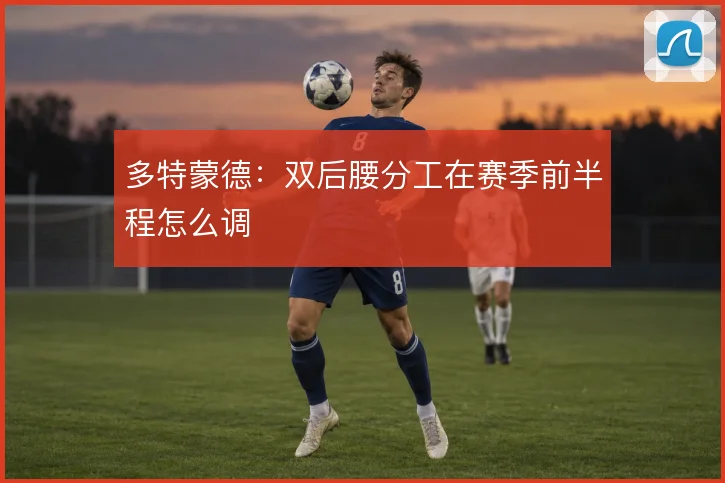 多特蒙德：双后腰分工在赛季前半程怎么调