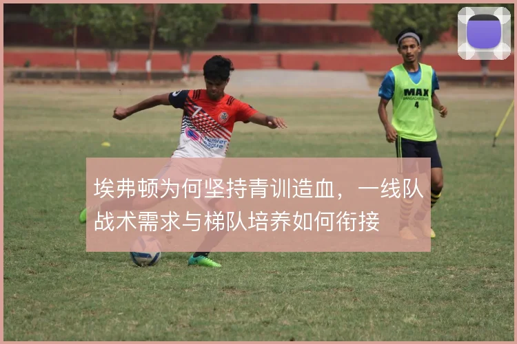 埃弗顿为何坚持青训造血，一线队战术需求与梯队培养如何衔接